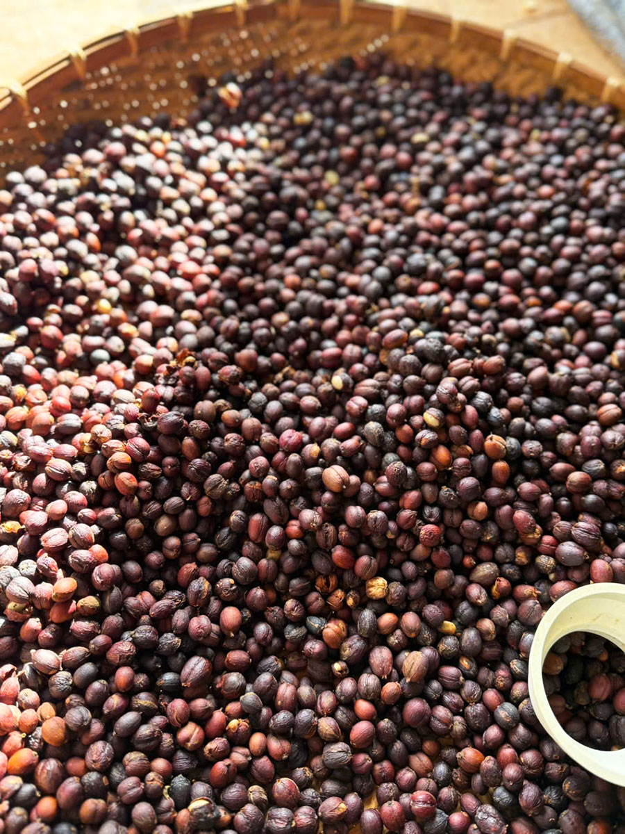 mibica-commodities-images-about-slide-03