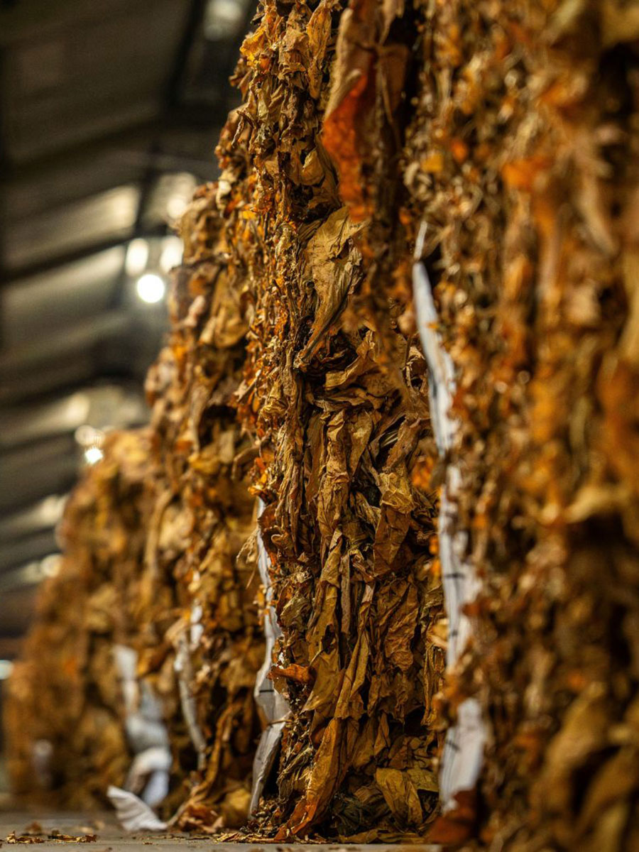 mibica-commodities-images-about-slide-04