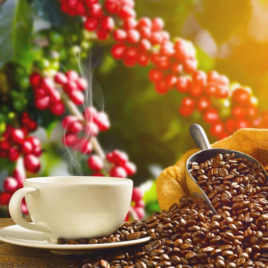 mibica-commodities-images-coffee