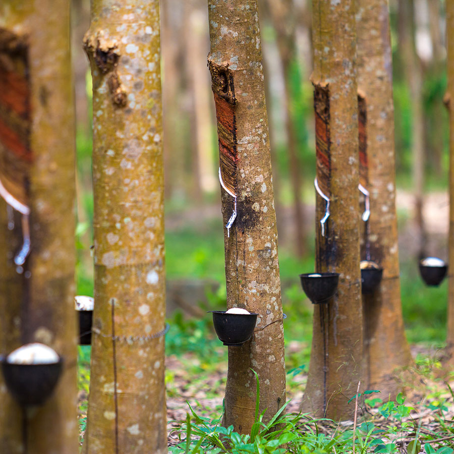 mibica-commodities-images-rubber